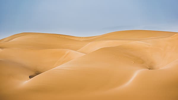 Subastas Inmobiliarias Desiertas: Causas y Procesos